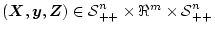 $(\mbox{\boldmath$X$},\mbox{\boldmath$y$},\mbox{\boldmath$Z$}) \in \mbox{${\cal S}$}^n_{++}\times \Re^m \times \mbox{${\cal S}$}^n_{++}$