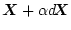 $\mbox{\boldmath$X$}+ \alpha \mbox{$d$\hspace{-0.21em}\mbox{\boldmath$X$}}$