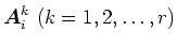 $\mbox{\boldmath$A$}_{i}^{k} ~(k=1,2,\ldots,r)$