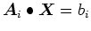 $\mbox{\boldmath$A$}_{i} \bullet \mbox{\boldmath$X$}= b_{i}$